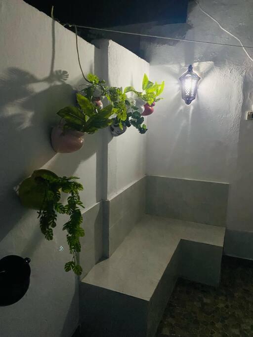 Le Refuge Djerbien Apartment Houmt Souk  Ngoại thất bức ảnh
